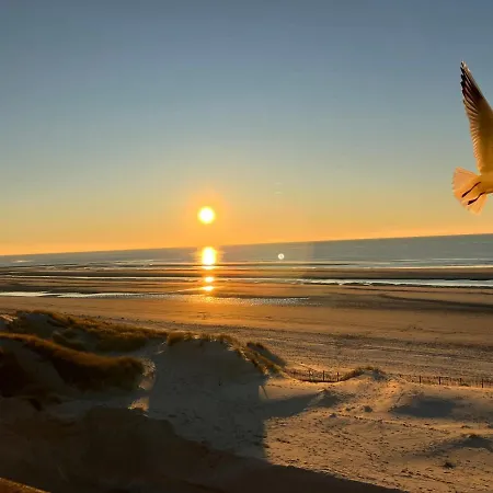 Baie De Somme Gros Becs