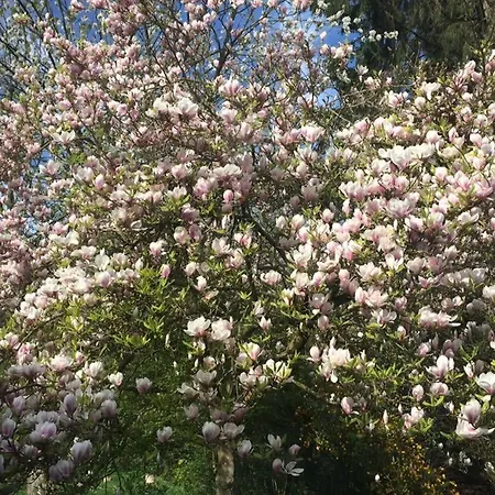 Baie De Somme Gros Becs بيت ضيافة