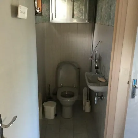 Baie De Somme Gros Becs Dominois